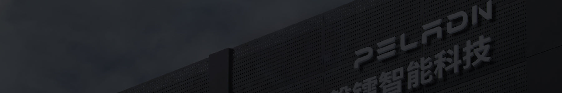 PELADN MINI PC