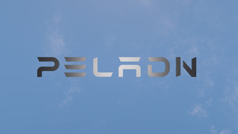 PELADN MINI PC